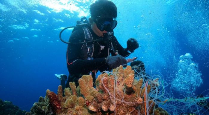 除了撿海底垃圾 日月光環保潛水隊宣布：2023目標復育540顆珊瑚