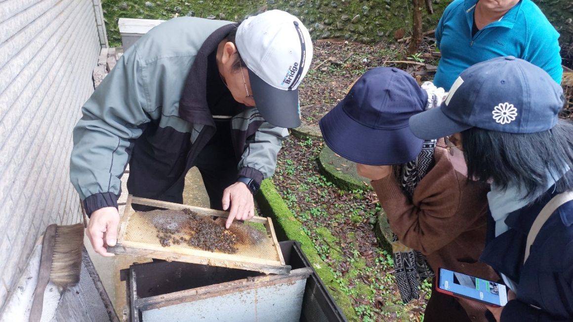 圖三、大礁溪林場野蜂例行照護