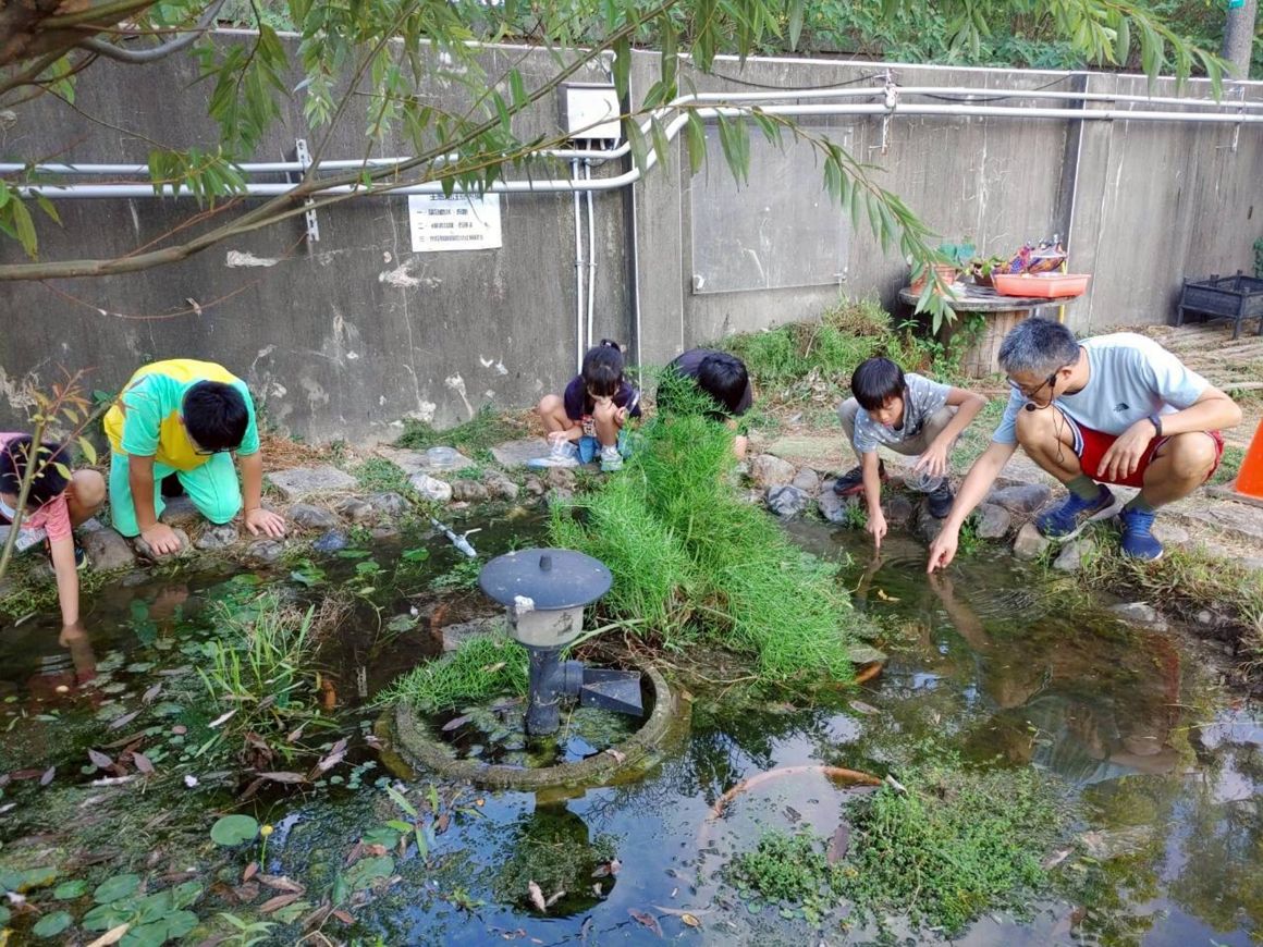 自立國小將校園轉化為自然教室，培養學生尊重生命與實事求是的科學素養