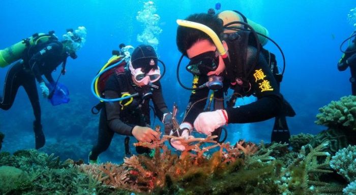 全台最潮環保行動 日月光培訓潛水隊守護台灣海洋